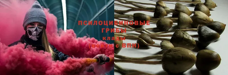 площадка какой сайт  Мелеуз  Псилоцибиновые грибы Psilocybine cubensis  купить закладку 