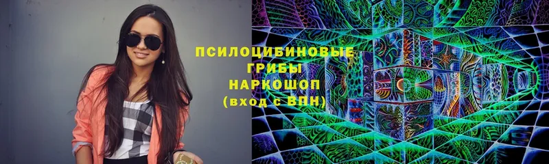 Галлюциногенные грибы GOLDEN TEACHER Мелеуз